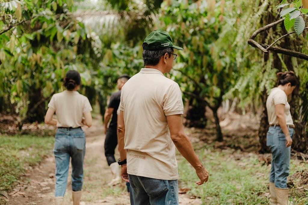 Trabalhadores rurais — eSocial, regularização trabalhista e fiscalizações
