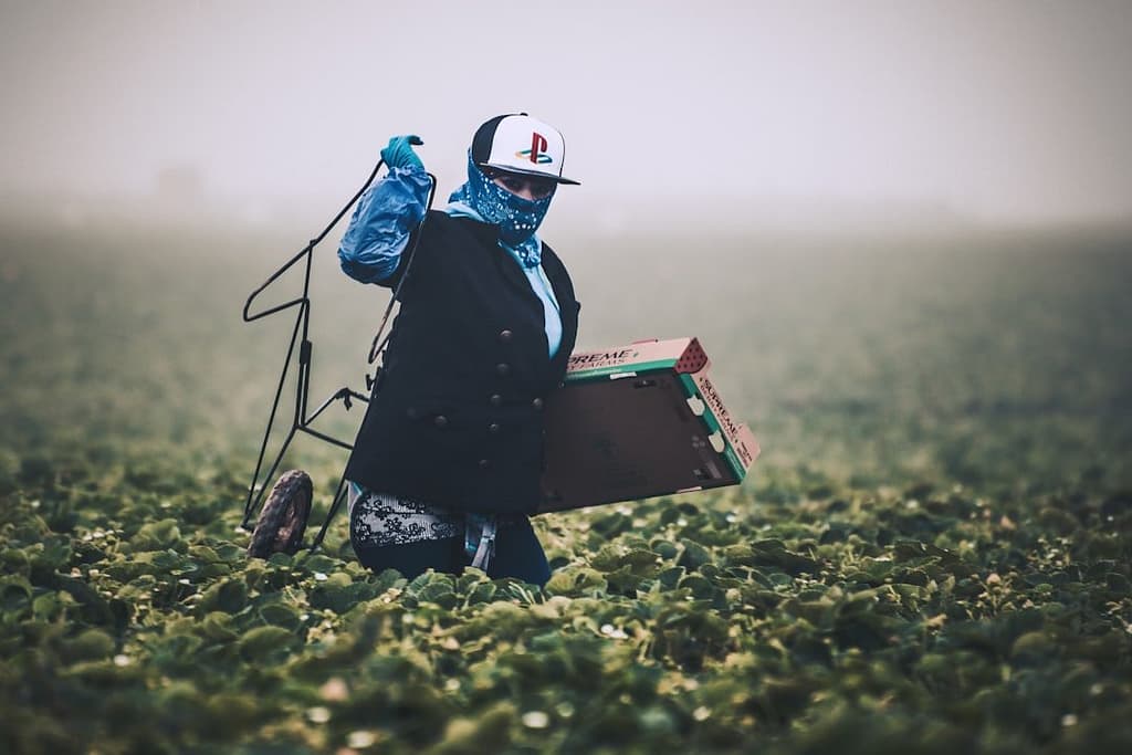 Trabalhador rural com equipamento de proteção individual em propriedade agrícola