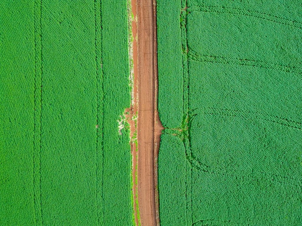 Fazenda de gado — holding rural e estruturação do patrimônio agropecuário